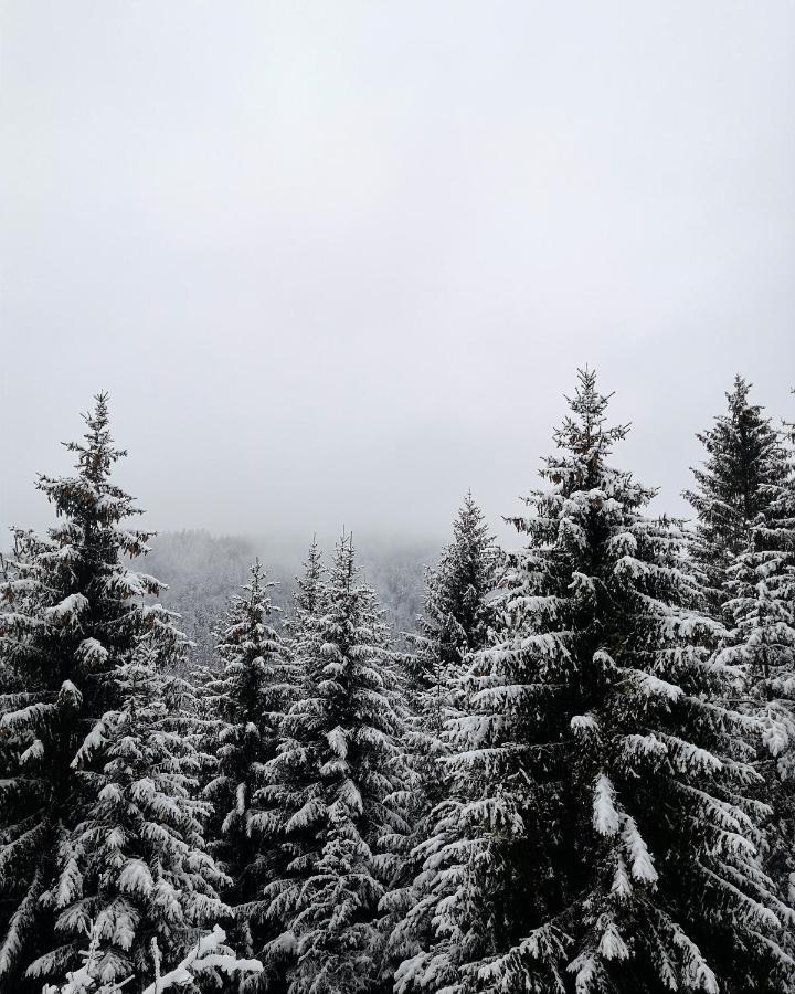 Apartman Jela Nova Varoš Buitenkant foto