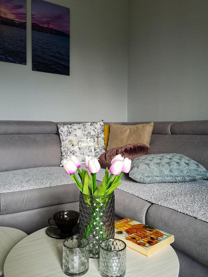 Apartman Jela Nova Varoš Buitenkant foto