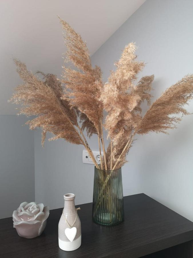 Apartman Jela Nova Varoš Buitenkant foto