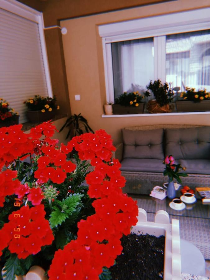 Apartman Jela Nova Varoš Buitenkant foto