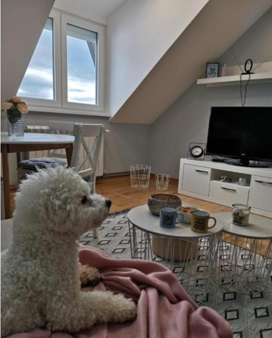 Apartman Jela Nova Varoš Buitenkant foto