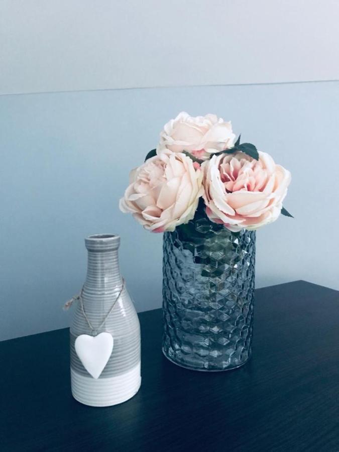 Apartman Jela Nova Varoš Buitenkant foto